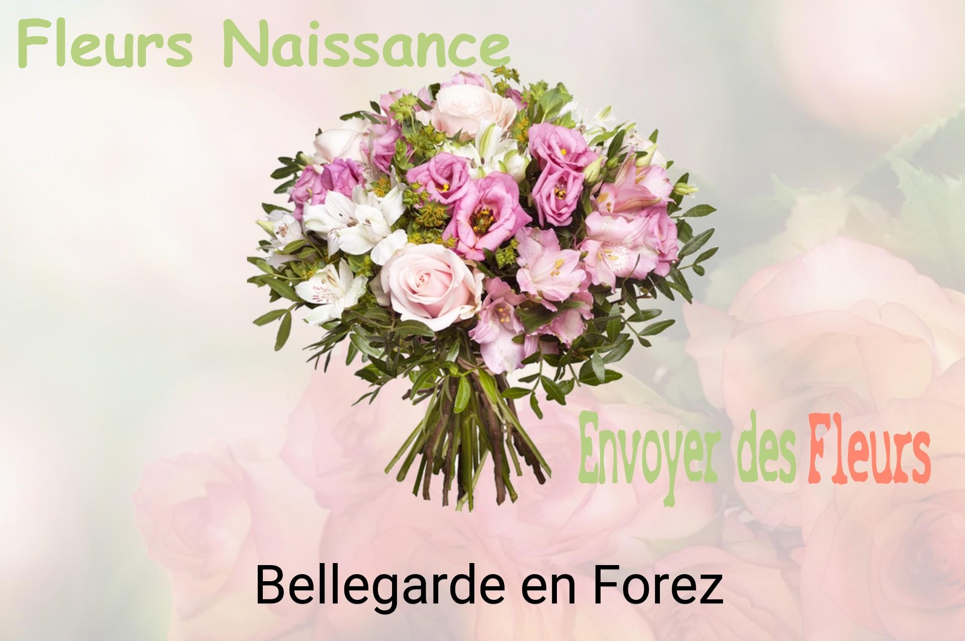 Bouquet de fleurs de naissance livré à Bellegarde-en-Forez