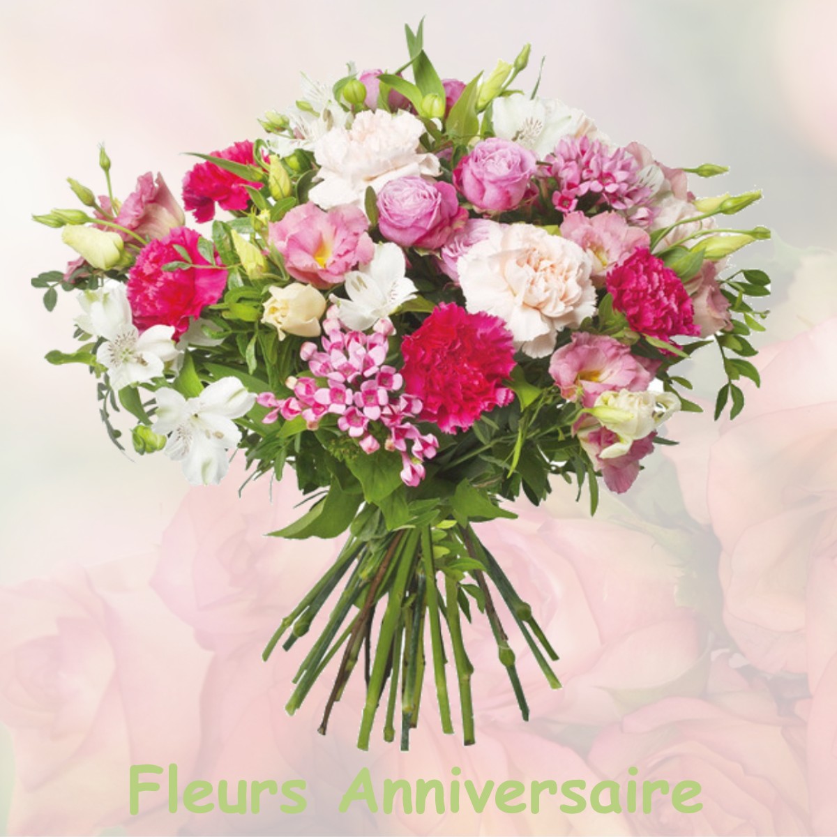 fleurs anniversaire BELLEGARDE-EN-FOREZ